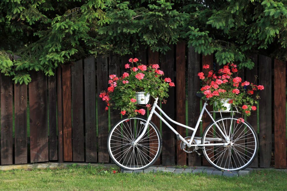 Bisiklet dekorasyonu