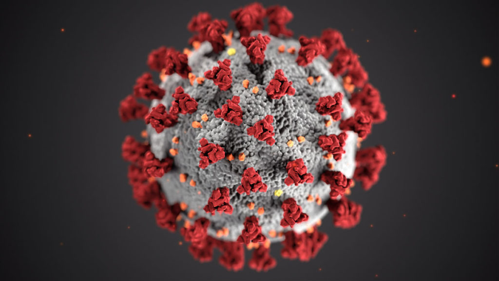 Corona Virüs (Korona Virüsü)