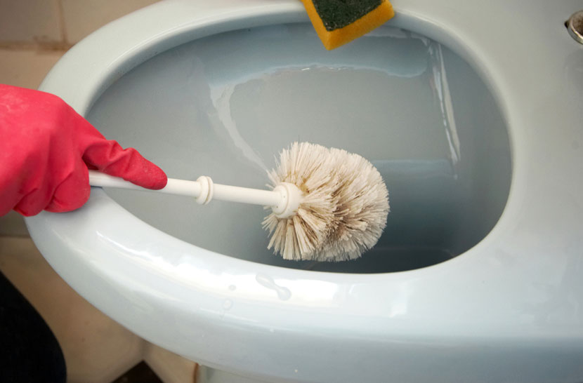 Tuvalet fırçası nasıl temizlenir? Ne sıklıkla temizlenmelidir? Evim