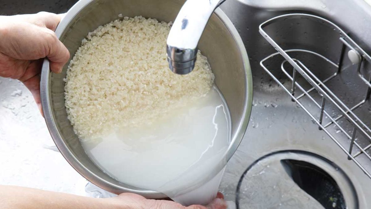 Pirinç suyunun çiçeklere faydaları nelerdir? Bitkilerde kullanımı – Evim