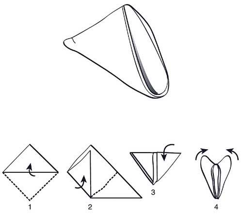Napkin folding techniques triangle